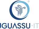 Iguassu IT